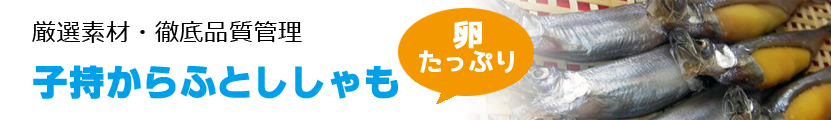 卵たっぷり子持ちからふとししゃも